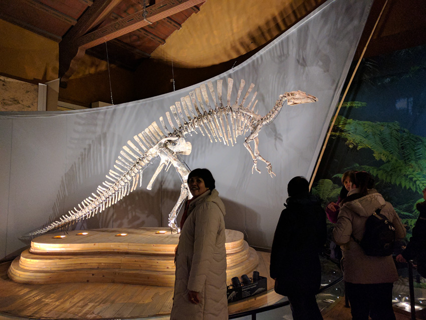 Una strana sirena vista al museo